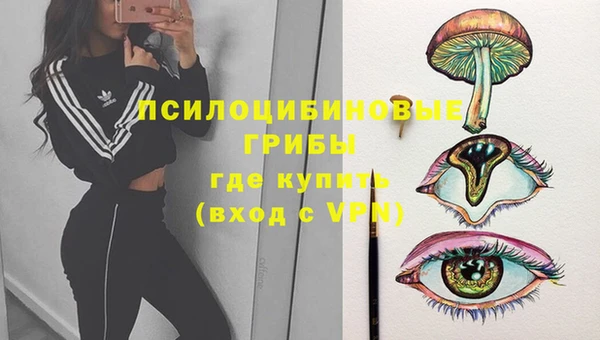 дживик Алексеевка